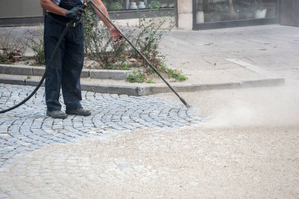 Best Dumpster Area Cleaning  in Palos Park, IL