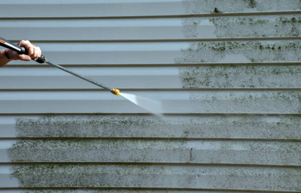 Best Patio and Deck Pressure Washing  in Palos Park, IL
